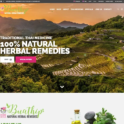 Multi-language responsive eCommerce website design
