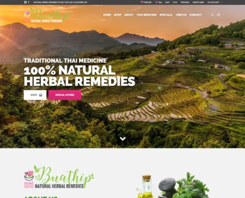 Multi-language responsive eCommerce website design