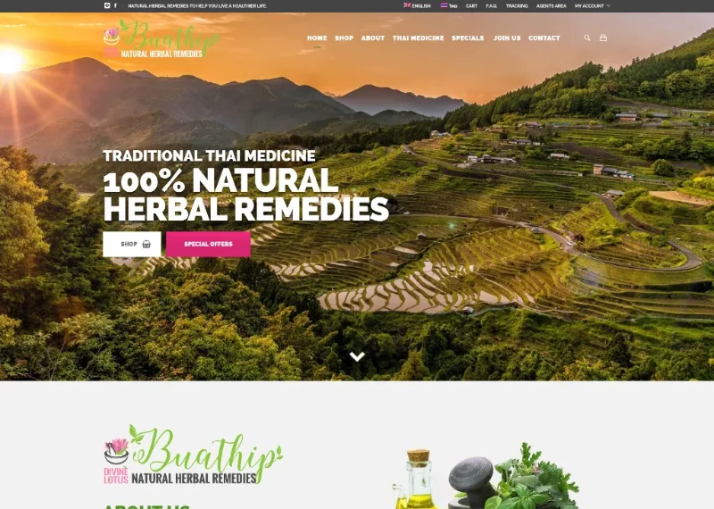 Multi-language responsive eCommerce website design