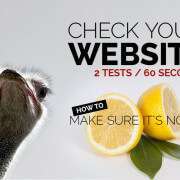 Check your website to make sure its not a lemon. SEO Canonical Issues