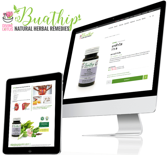 Buathip e-commerce website design
