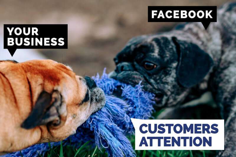 Conflict of interest | Staging - Hue Marketing
