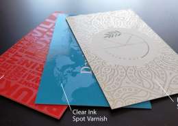 Printing Spot Varnish 8 Two Types of Spot UV - Raised and Flat